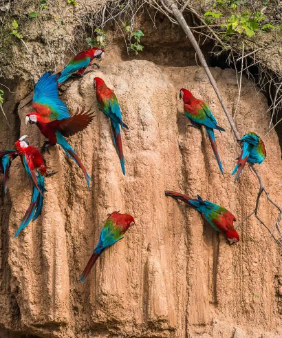 Reserva Amazonica Luxury Lodge