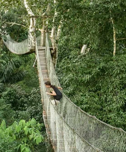 Reserva Amazonica Extended Luxury