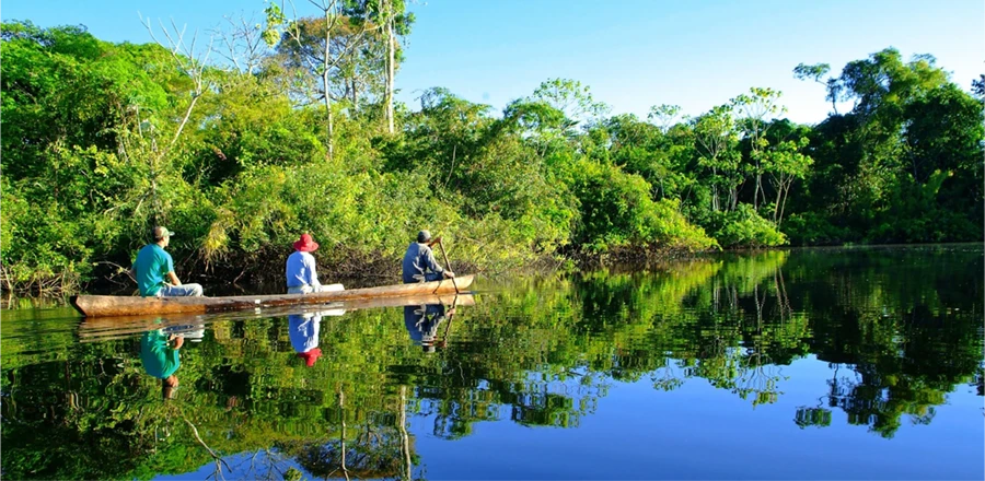 Lake Sandoval Giant River Otter