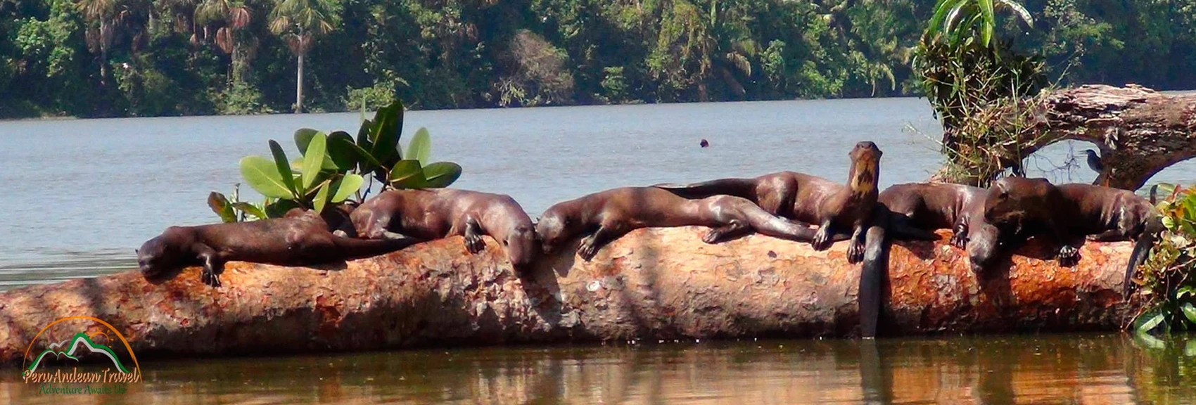 Health and Wellness Travel Peru