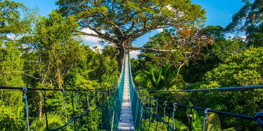 Amazon Rainforest Lodge Peru