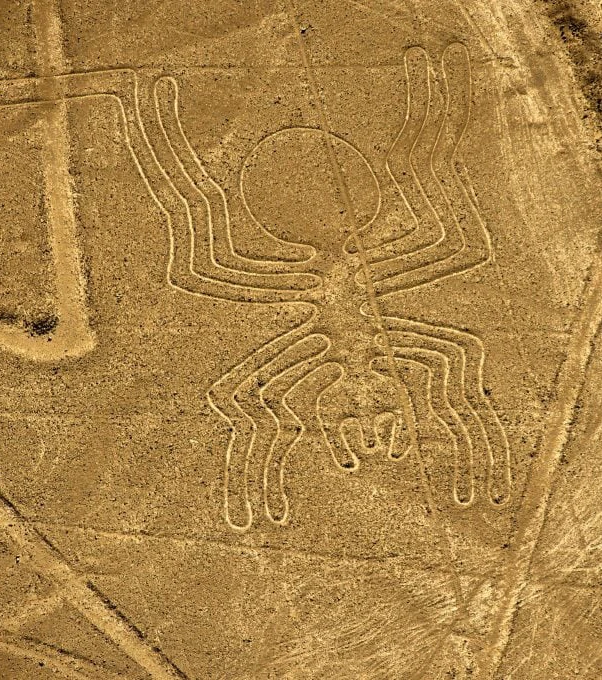 Private Nazca Lines Tour