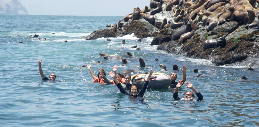 Palomino Islands Wildlife Encounter