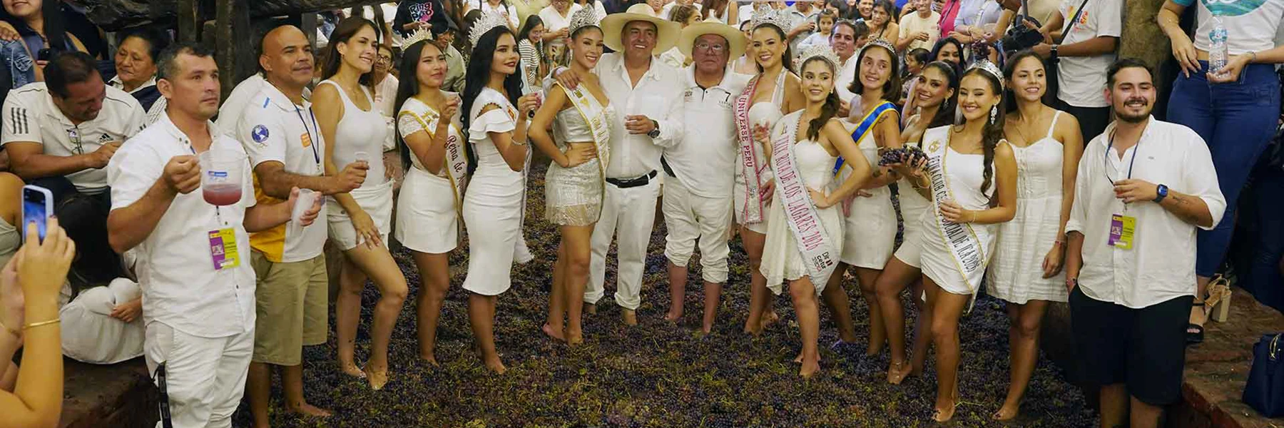 Ica Vineyards Peru Wine Harvest