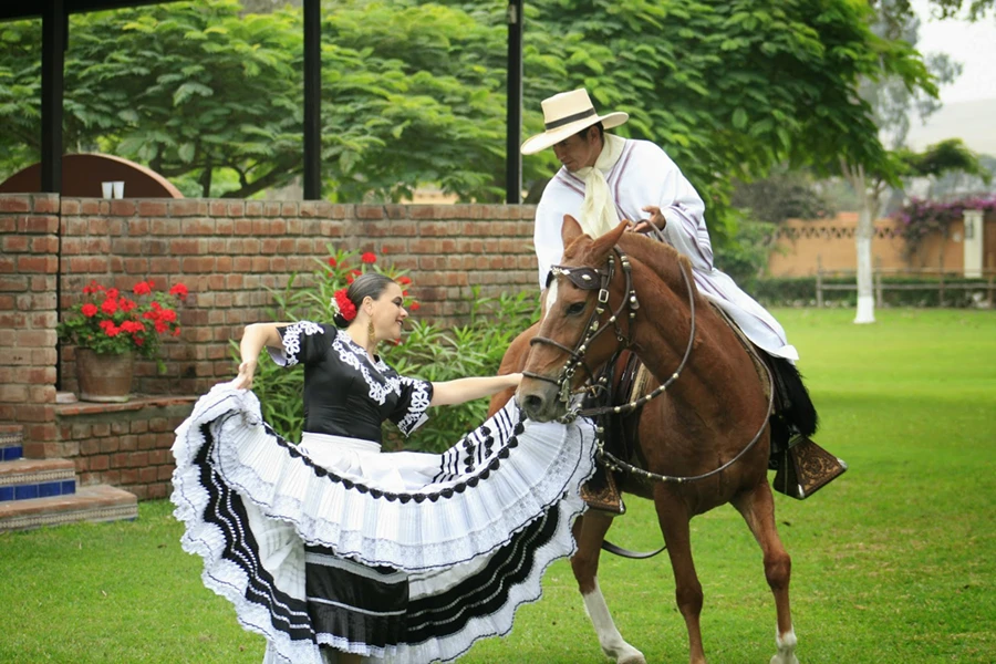 A skilled Chalan riding a majestic Peruvian Paso horse during the Marinera festival